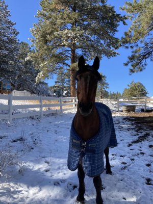 399645306_10167797504105618_5884417199274356852_n.jpg 399645306_10167797504105618_5884417199274356852_n.jpg