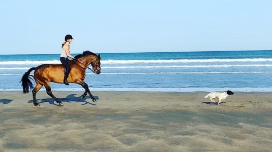 294511655_10166078301765618_5466550401630238746_n.jpg 294511655_10166078301765618_5466550401630238746_n.jpg