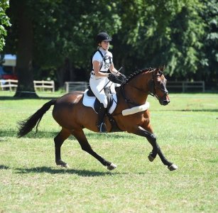 292788060_10166056871510618_6766663496181313180_n (1).jpg 292788060_10166056871510618_6766663496181313180_n (1).jpg