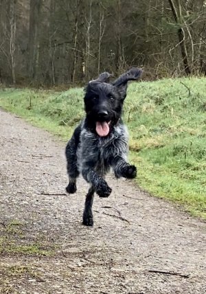 DEEBD970-C132-4668-9BD0-F853EF7586EC.jpeg DEEBD970-C132-4668-9BD0-F853EF7586EC.jpeg