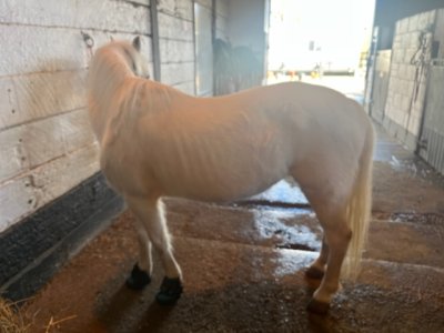 38C197C1-C5AD-4567-A09C-8B3659FEB853.jpeg 38C197C1-C5AD-4567-A09C-8B3659FEB853.jpeg