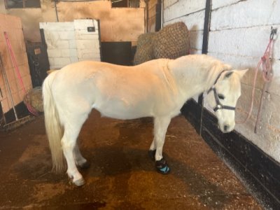 104E423F-5E82-402A-B04D-FB70A797BB36.jpeg 104E423F-5E82-402A-B04D-FB70A797BB36.jpeg