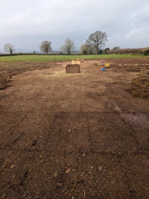 PXL_20240309_095207540 (1).jpg