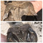 brieze heel change.jpg