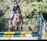 5FC34216-9F1A-4E32-B248-245F13259A19.jpeg 5FC34216-9F1A-4E32-B248-245F13259A19.jpeg