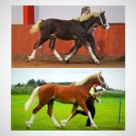 EA34D7F6-ACF6-4E39-B116-DD1F14D0E165.jpeg EA34D7F6-ACF6-4E39-B116-DD1F14D0E165.jpeg