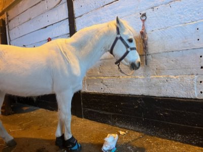 EA6F6D36-05CC-46DD-A859-CEE0622D5BF8.jpeg EA6F6D36-05CC-46DD-A859-CEE0622D5BF8.jpeg