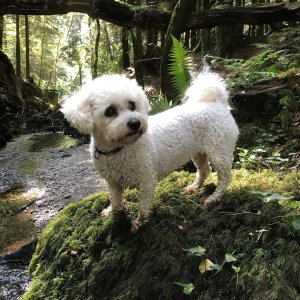 IMG_7536.jpeg IMG_7536.jpeg