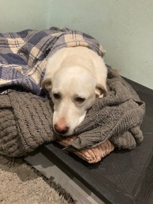 Honey home.jpg Honey home.jpg