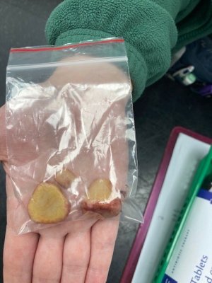 Honey stones.jpg Honey stones.jpg