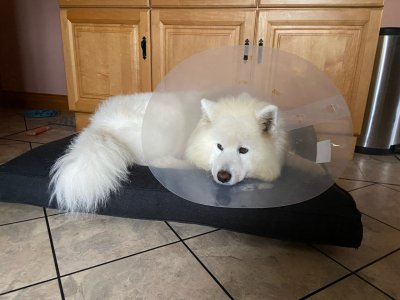 D9B94F92-EA8C-47AF-B63D-4DADFE5E13DB.jpeg D9B94F92-EA8C-47AF-B63D-4DADFE5E13DB.jpeg