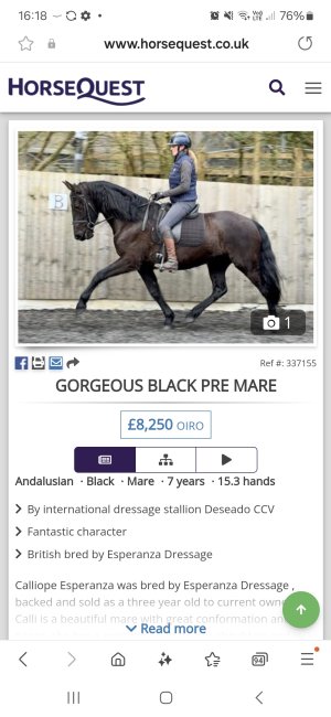 Screenshot_20240320_161818_Samsung Internet.jpg