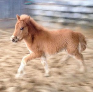 11084298_10200455437466464_7087627879659717468_n~2.jpg 11084298_10200455437466464_7087627879659717468_n~2.jpg