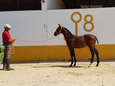 IMG_5618.jpg IMG_5618.jpg