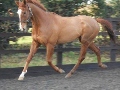 1000013080.jpg 1000013080.jpg