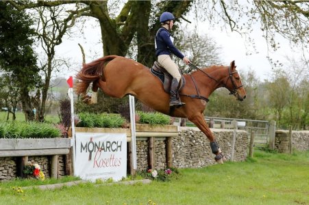 IMG_1199.jpeg IMG_1199.jpeg