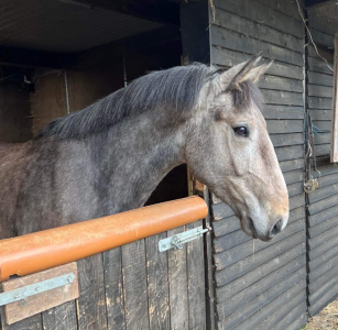 1711054701610.png 1711054701610.png