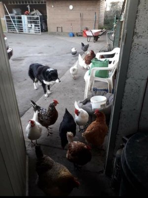 20240324_235448.jpg 20240324_235448.jpg