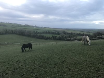 IMG_4380.jpeg IMG_4380.jpeg