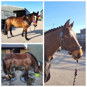 20240326_143136.jpg 20240326_143136.jpg