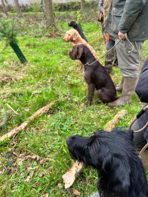 16EAA78A-6971-4862-91B3-27F9A8B5E9FB.jpeg 16EAA78A-6971-4862-91B3-27F9A8B5E9FB.jpeg