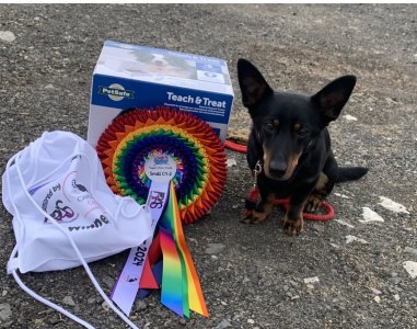 IMG_1091.jpeg IMG_1091.jpeg