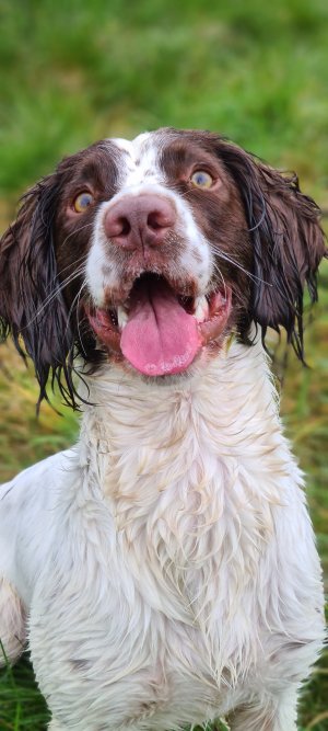 20240310_093511.jpg 20240310_093511.jpg