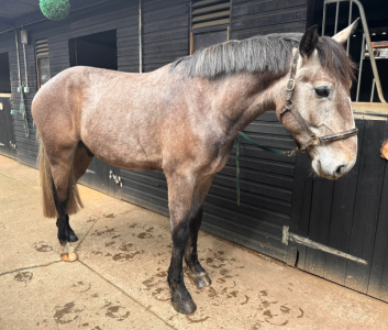 1712139497343.png 1712139497343.png