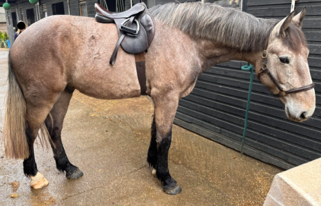 1712139761269.png 1712139761269.png