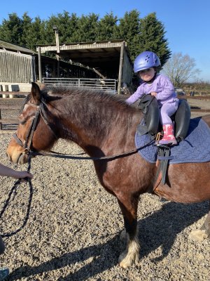 IMG_3854.jpeg IMG_3854.jpeg