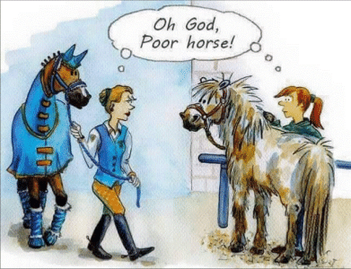 Poor horse .gif