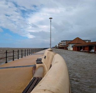 IMG_1218.jpeg IMG_1218.jpeg