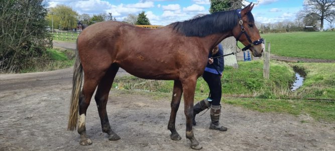 Screenshot_20240412_145225_Gallery.jpg Screenshot_20240412_145225_Gallery.jpg