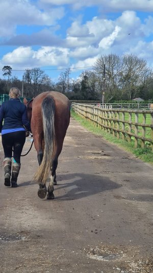 IMG-20240330-WA0001.jpg IMG-20240330-WA0001.jpg