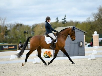 T38_7978{Thursday 10th April 2024_-_Class 38 - Petplan Elementary Silver Area Festival Champio...jpg
