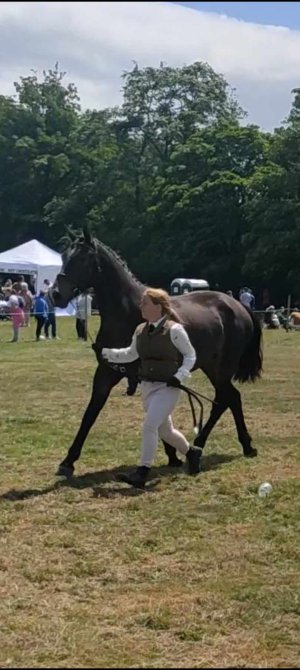 Screenshot_2024-04-14-22-21-27-52_99c04817c0de5652397fc8b56c3b3817.jpg Screenshot_2024-04-14-22-21-27-52_99c04817c0de5652397fc8b56c3b3817.jpg