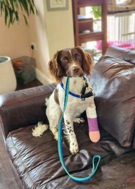 20240415_201148.jpg 20240415_201148.jpg