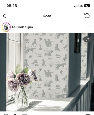 AB8E2920-AC20-450D-8B62-062B4B2226B4.jpeg AB8E2920-AC20-450D-8B62-062B4B2226B4.jpeg