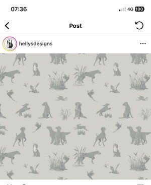 FFAECEC2-5055-49A0-8000-2E8AFEEFC703.jpeg FFAECEC2-5055-49A0-8000-2E8AFEEFC703.jpeg