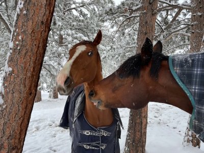 IMG_9793.jpeg IMG_9793.jpeg