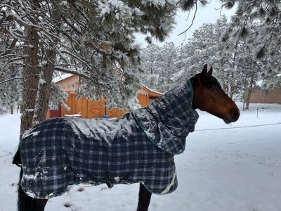 IMG_9791.jpeg IMG_9791.jpeg