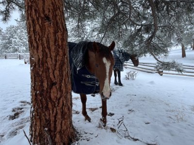 IMG_9777.jpeg IMG_9777.jpeg