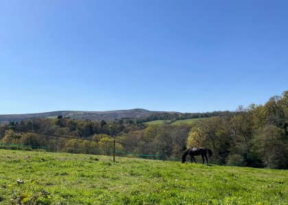 IMG_5721.jpeg IMG_5721.jpeg