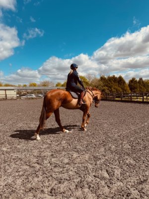 FullSizeRender.jpeg FullSizeRender.jpeg