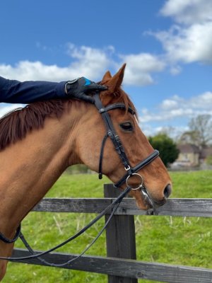 IMG_1213.jpeg IMG_1213.jpeg