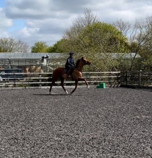 IMG_1226.jpeg IMG_1226.jpeg