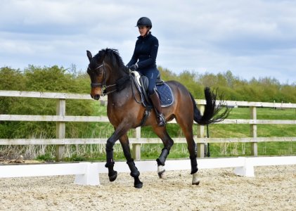 IMG_7936.jpeg IMG_7936.jpeg