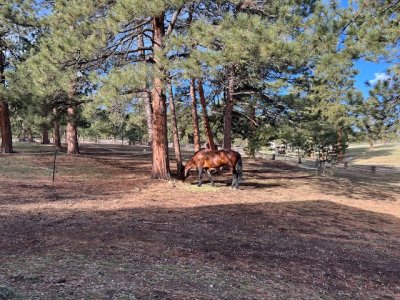 IMG_9873.jpeg IMG_9873.jpeg