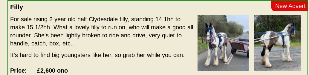 Screenshot 2024-04-24 10.33.24 AM.png