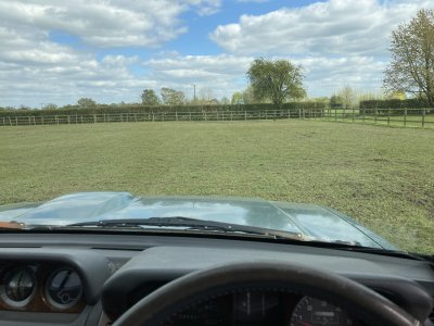 IMG_3774.jpeg IMG_3774.jpeg